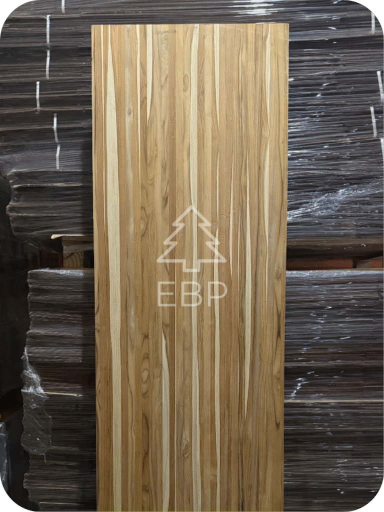 teca logo 4 modified teca logo 4 modified